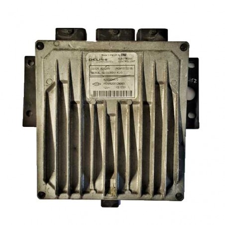 Calculateur moteur Delphi DDCR, R0410C021B, 8200206670, HOM8200129063