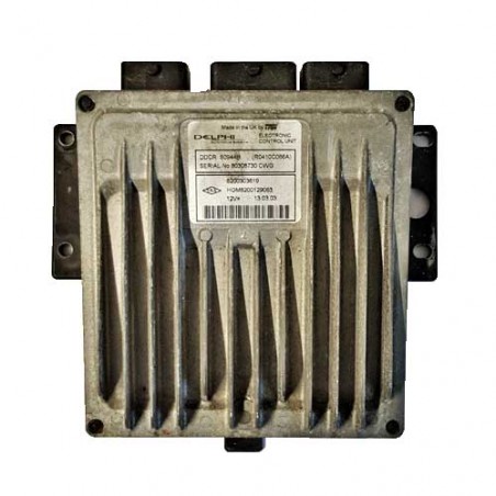 Calculateur moteur Delphi DDCR, R0410C066A, 8200308730, HOM8200129063